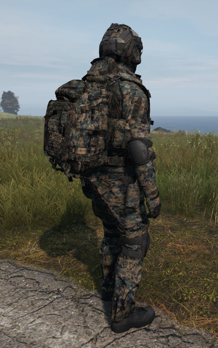 MARPAT retexture, view 2