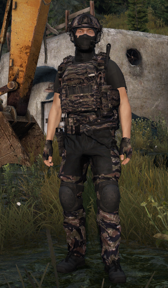 Tiger Stripe retexture, view 1