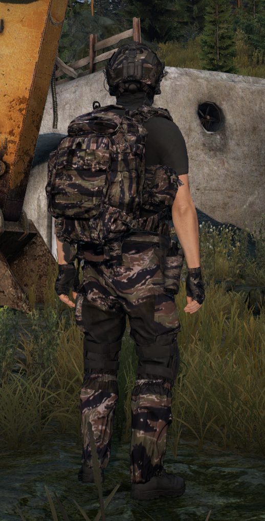 Tiger Stripe retexture, view 2